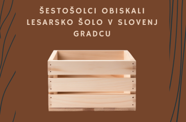 Šestošolci obiskali Lesarsko šolo v Slovenj Gradcu