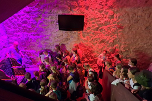 Kulturni dan v Celju