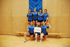 Polfinale odbojka 2025