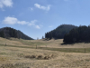 shared-image-24