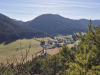 shared-image-9