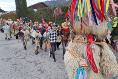 Učenci POŠ Dolič na pustnem karnevalu